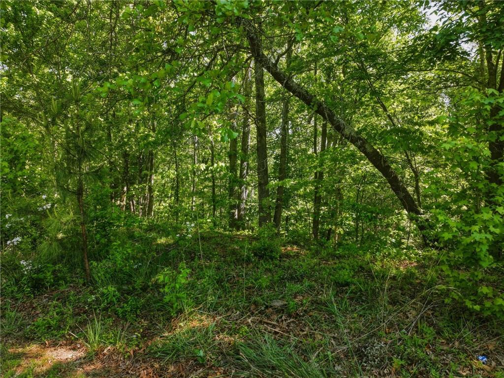 Lot 7 Summit Drive