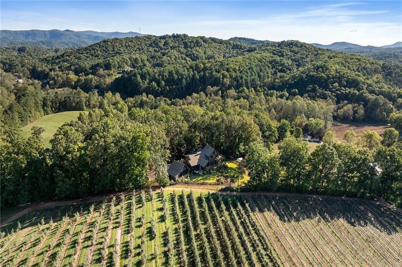1241 Scenic Drive