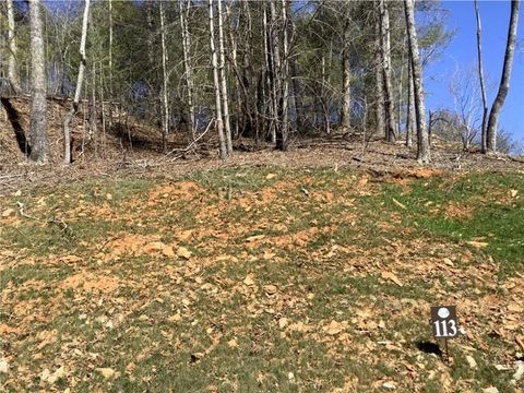 Vacant Land For Sale - LOT113 High River Crossing<br/> Ellijay, GA 30540