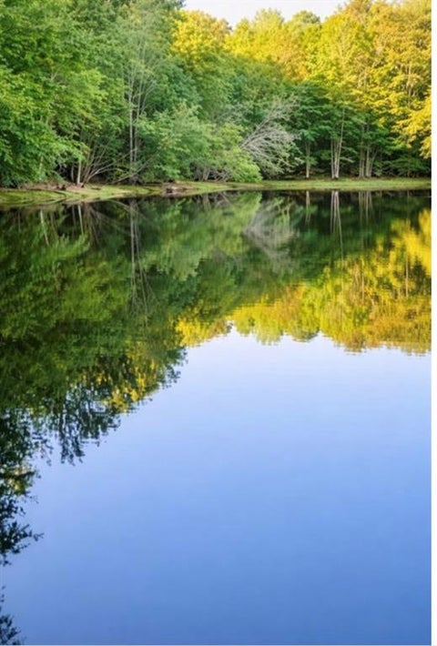 Vacant Land For Sale - Malone Road<br/> Fayetteville, GA 30215