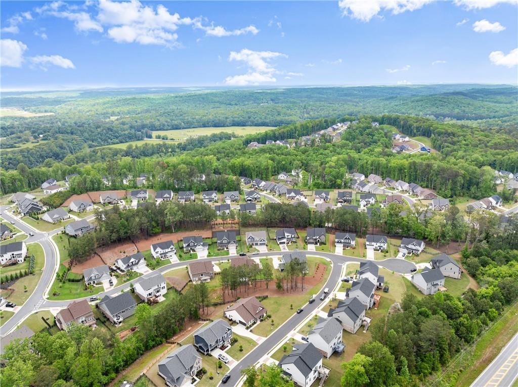 8030 Stiner Grove, Ball Ground, Georgia image 48