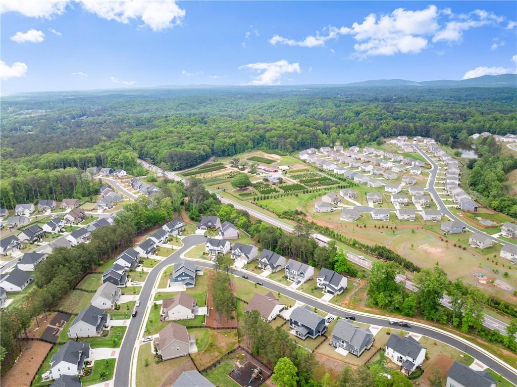 8030 Stiner Grove, Ball Ground, Georgia image 49