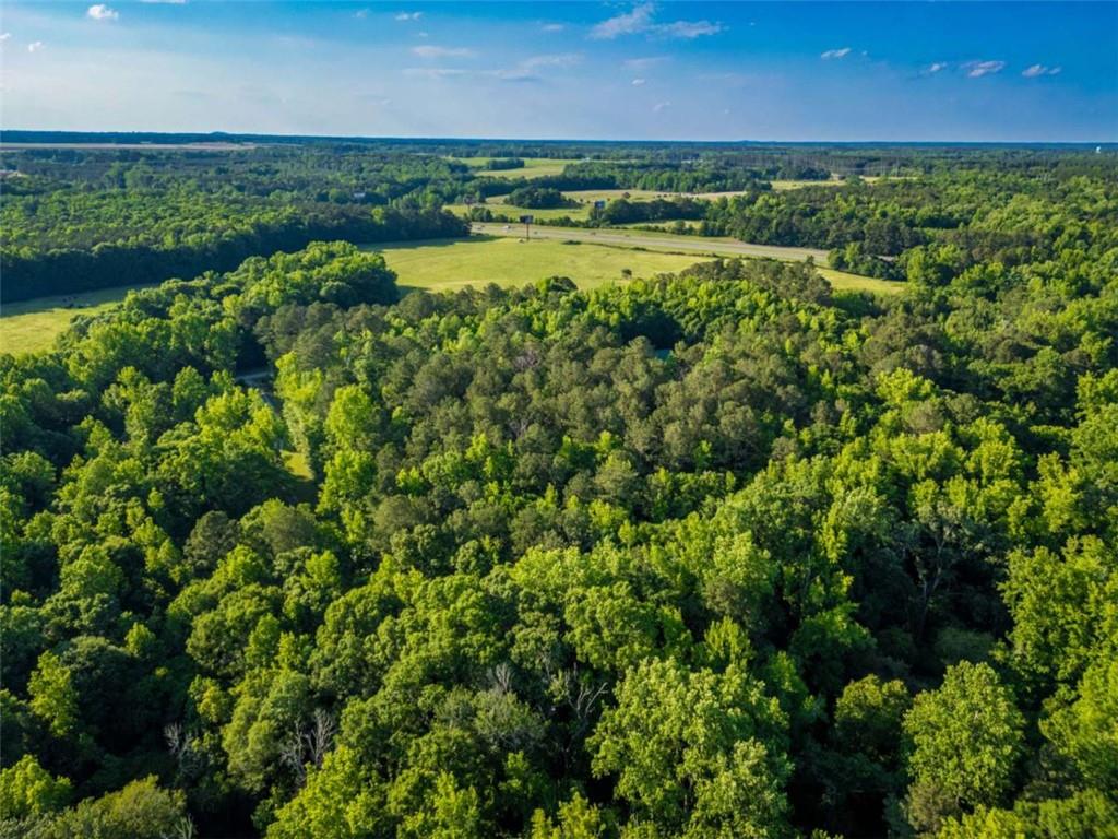 Estes Road, Rutledge, Georgia image 8