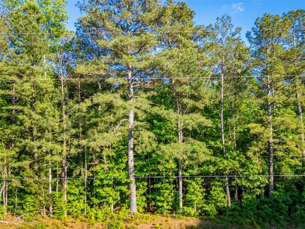 Estes Road, Rutledge, Georgia image 6