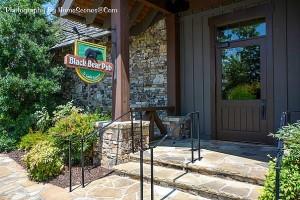 220 Yanegwa Knoll, Dawsonville, Georgia image 15