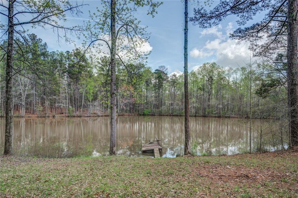 Jones Road, Ellenwood, Georgia image 9