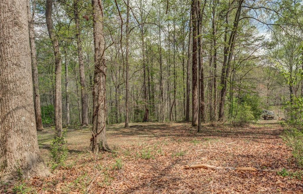 Jones Road, Ellenwood, Georgia image 6