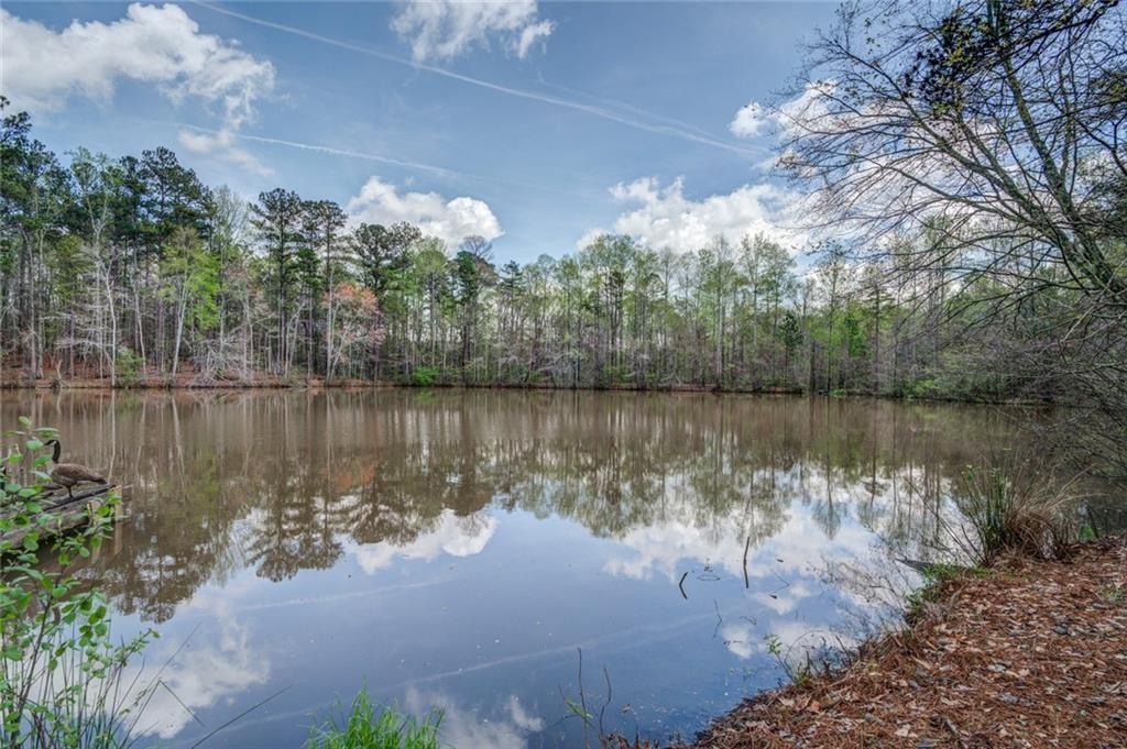 Jones Road, Ellenwood, Georgia image 4