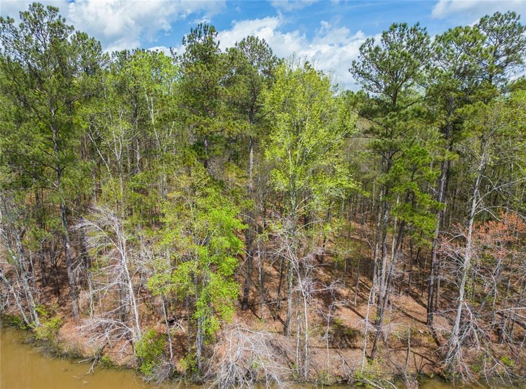 Jones Road, Ellenwood, Georgia image 3