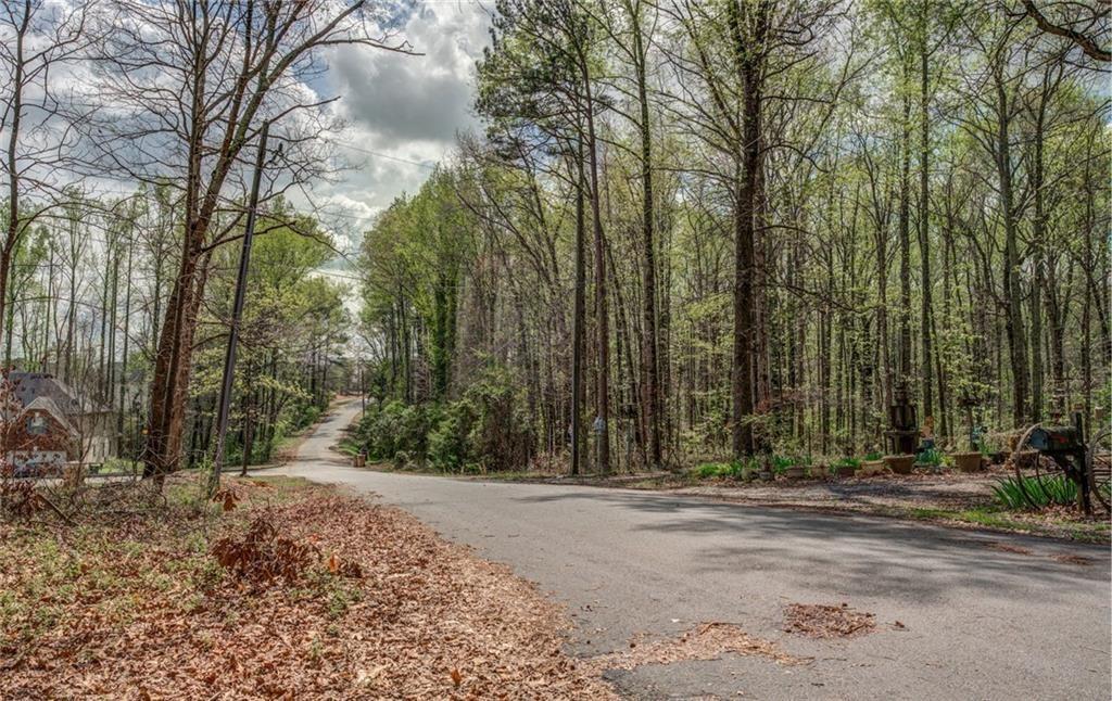 Jones Road, Ellenwood, Georgia image 8