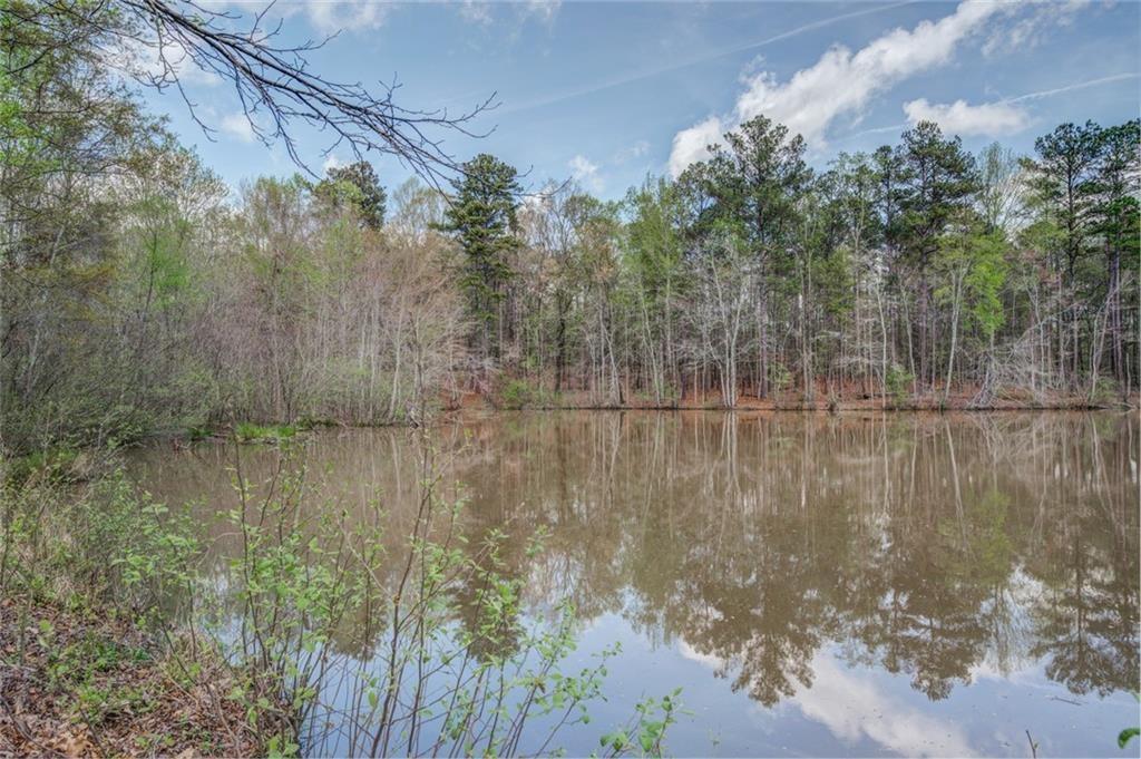 Jones Road, Ellenwood, Georgia image 5