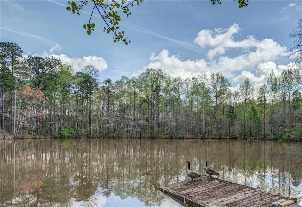 Jones Road, Ellenwood, Georgia image 1