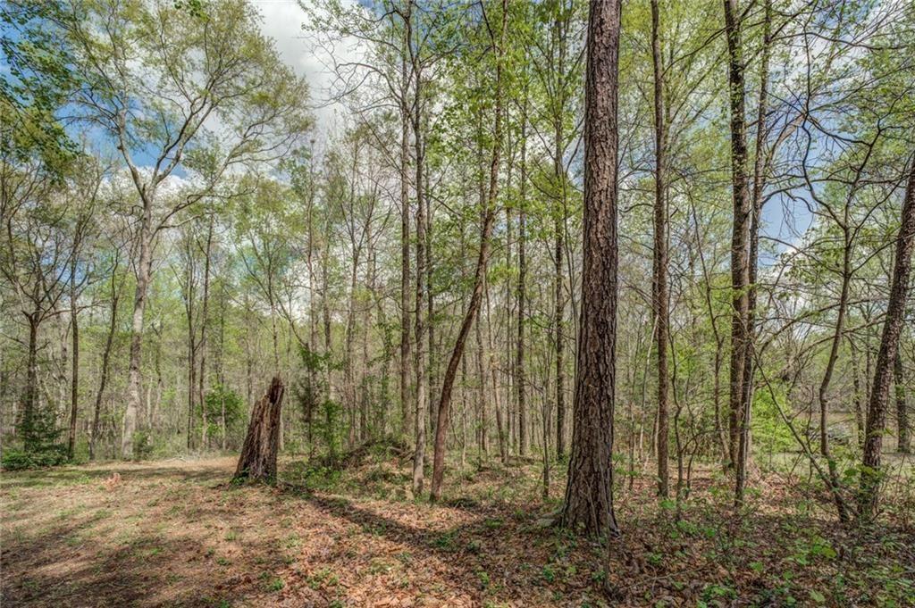 Jones Road, Ellenwood, Georgia image 7