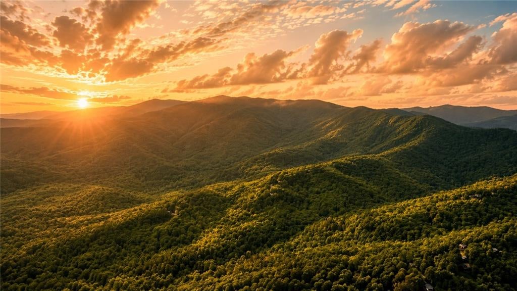 5.58 Gobbler Knob Drive