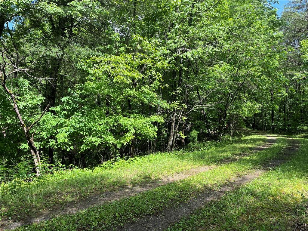 1720 Rebekah Ridge Road, Talking Rock, Georgia image 7