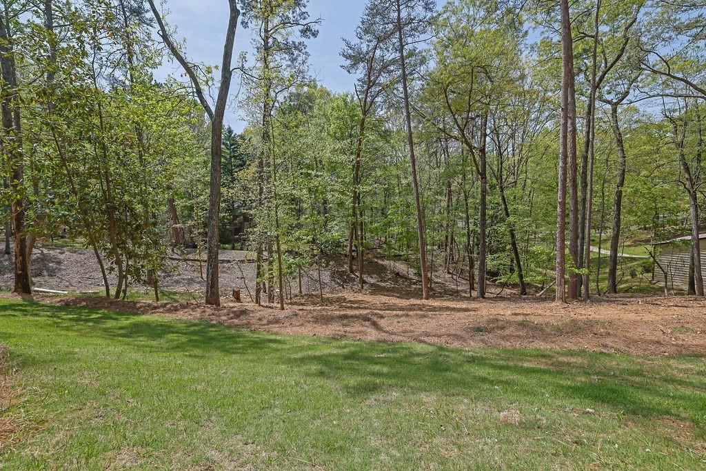 3614 Griffin Drive, Gainesville, Georgia image 39