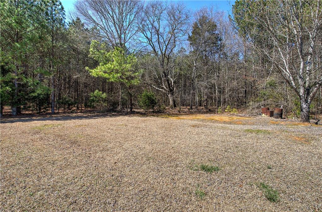 1007 Old Rome Road, Aragon, Georgia image 39