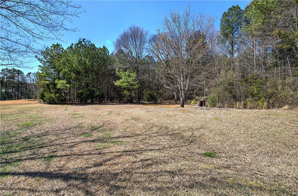 1007 Old Rome Road, Aragon, Georgia image 38