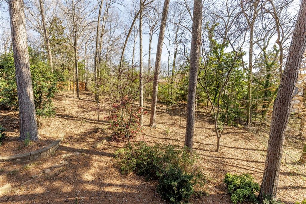 5385 Saffron Drive, Dunwoody, Georgia image 25