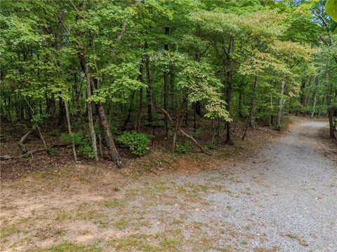 Vacant Land For Sale - Clearview Drive<br/> Jasper, GA 30143