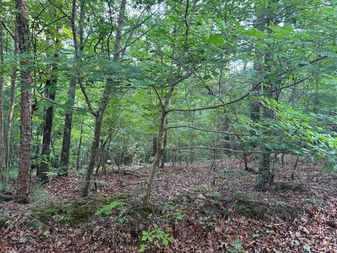 Vacant Land For Sale - 793 Woodbine Lane<br/> Ranger, GA 30734