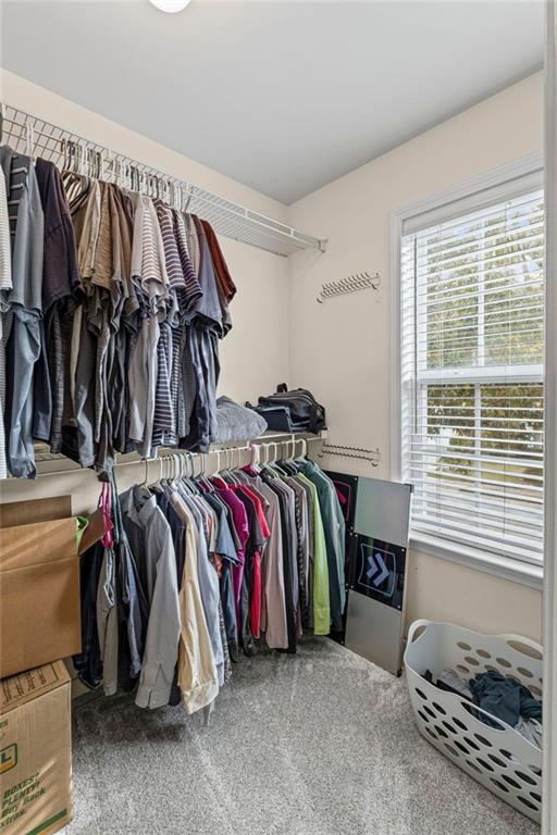 Rosemoore at Harper Woods - Residential