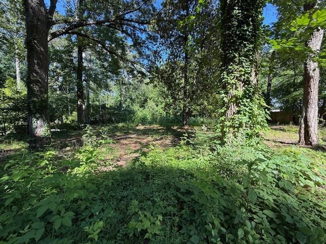 55 Linkwood Road, Atlanta, Georgia image 3