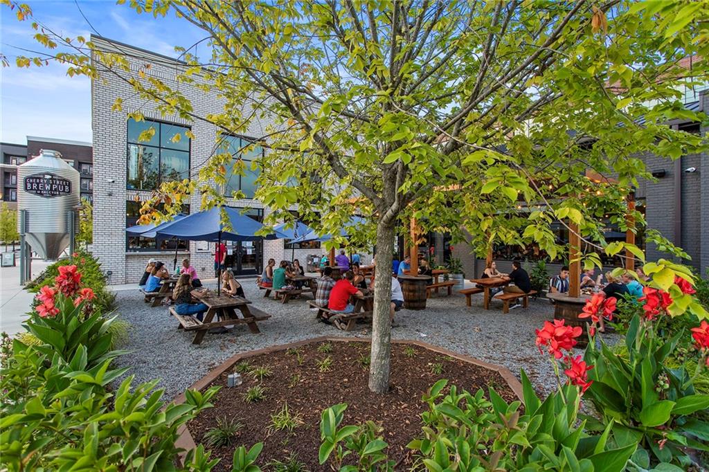 Halcyon - Residential Lease