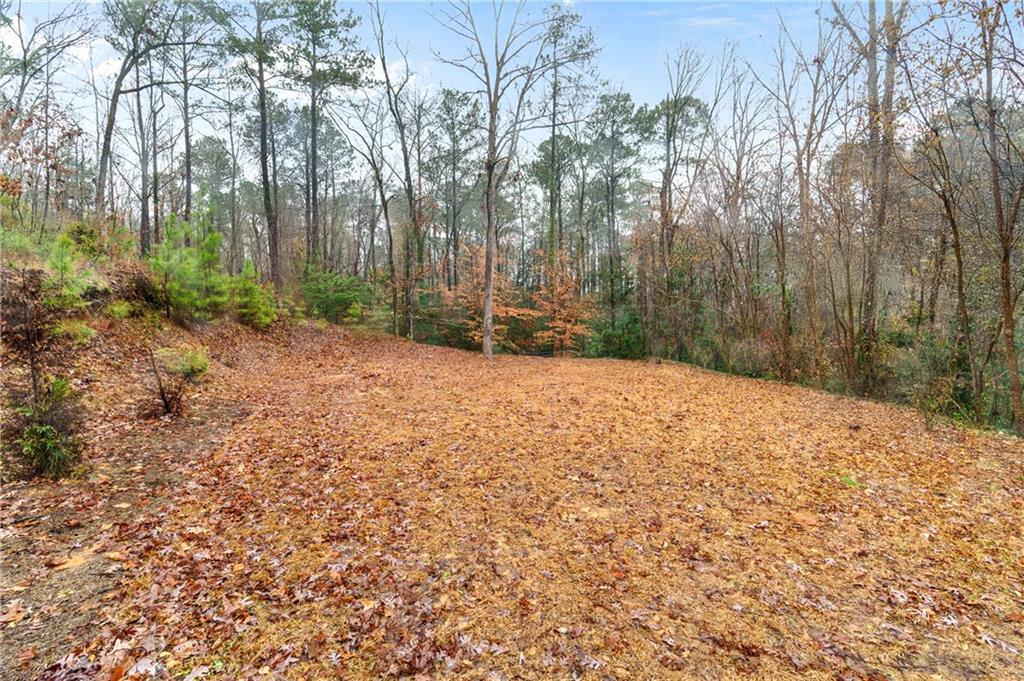 724 Forest Hill Road, Macon, Georgia image 36