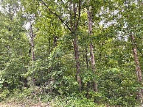 Vacant Land For Sale - Napier Drive<br/> Eatonton, GA 31024