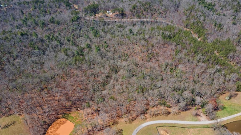 Afton #2 Road, Dawsonville, Georgia image 22