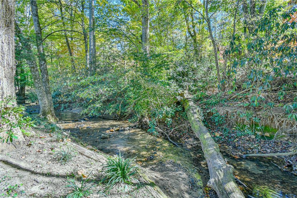 4 Screamer Drive, Clayton, Georgia image 43