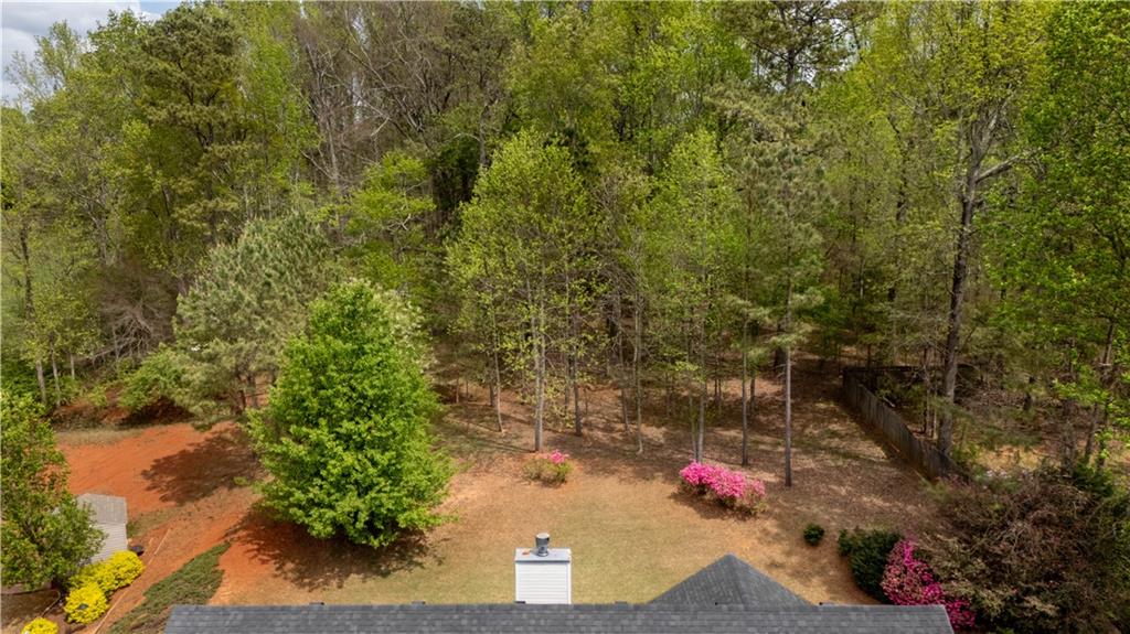 1277 Overland Park Drive, Braselton, Georgia image 8