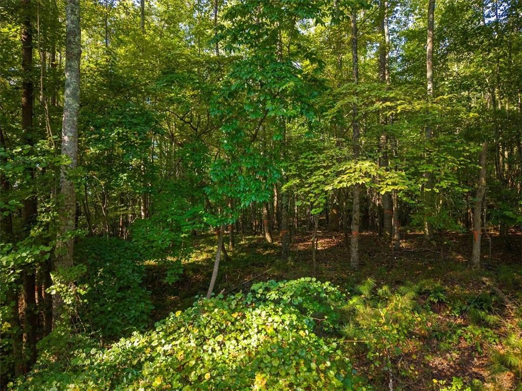 00 Cox Road, Roswell, GA, 30075 00 Cox Road
