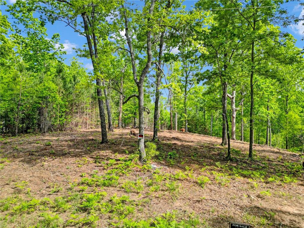 Come build your dream home!! Check out this beautiful property with access to shopping, restaurants, Veteran's Park and downtown Canton. This is one of 6 lots in a minor subdivision offering lots of privacy on a quiet street.