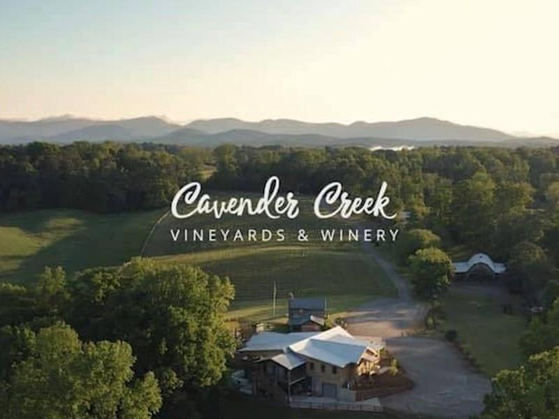 145 Riverhouse Drive, Dahlonega, Georgia image 31