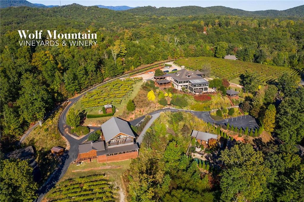 145 Riverhouse Drive, Dahlonega, Georgia image 32