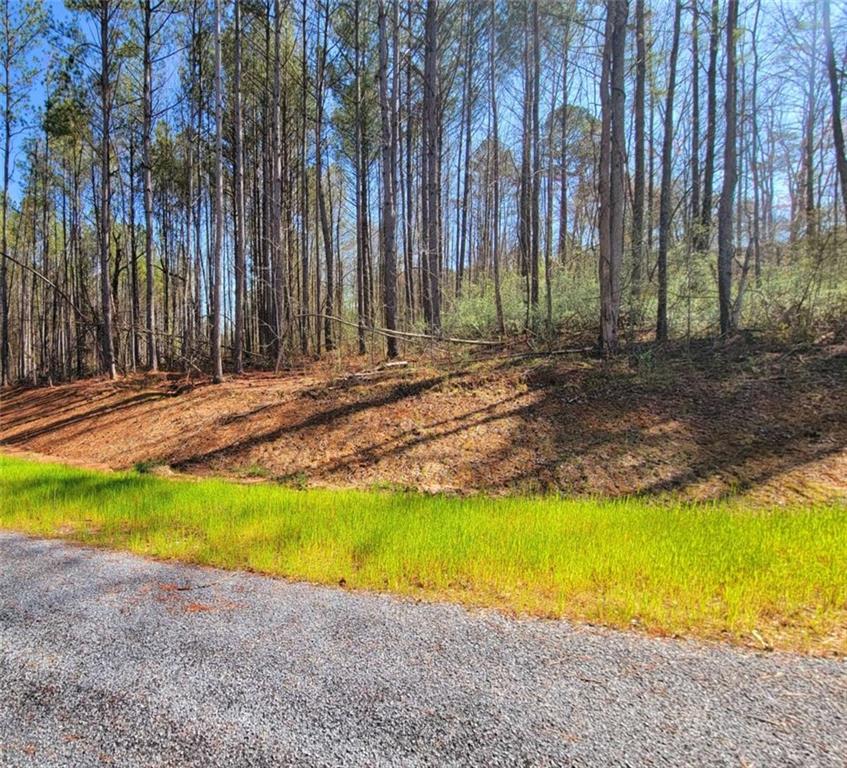 68 Mountaingate Way, Ellijay, Georgia image 9