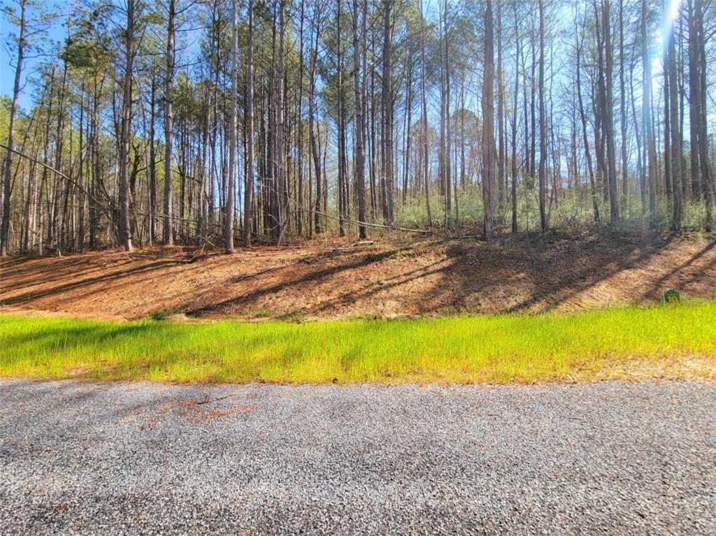 68 Mountaingate Way, Ellijay, Georgia image 1