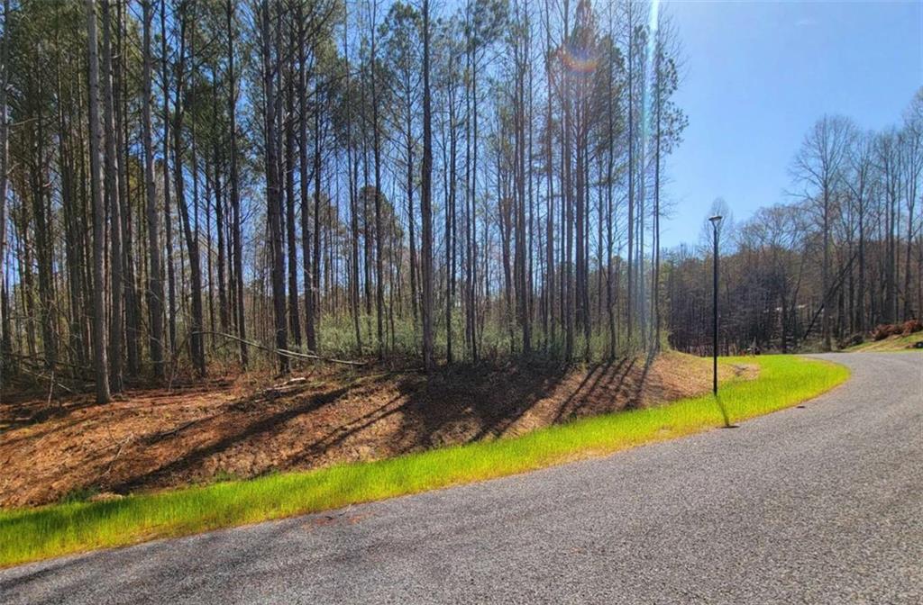 68 Mountaingate Way, Ellijay, Georgia image 10