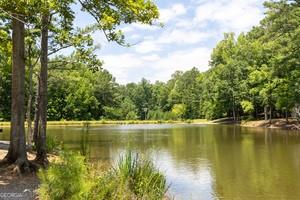 505 Altamaha Court, Locust Grove, Georgia image 34