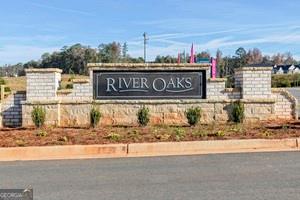 505 Altamaha Court, Locust Grove, Georgia image 22