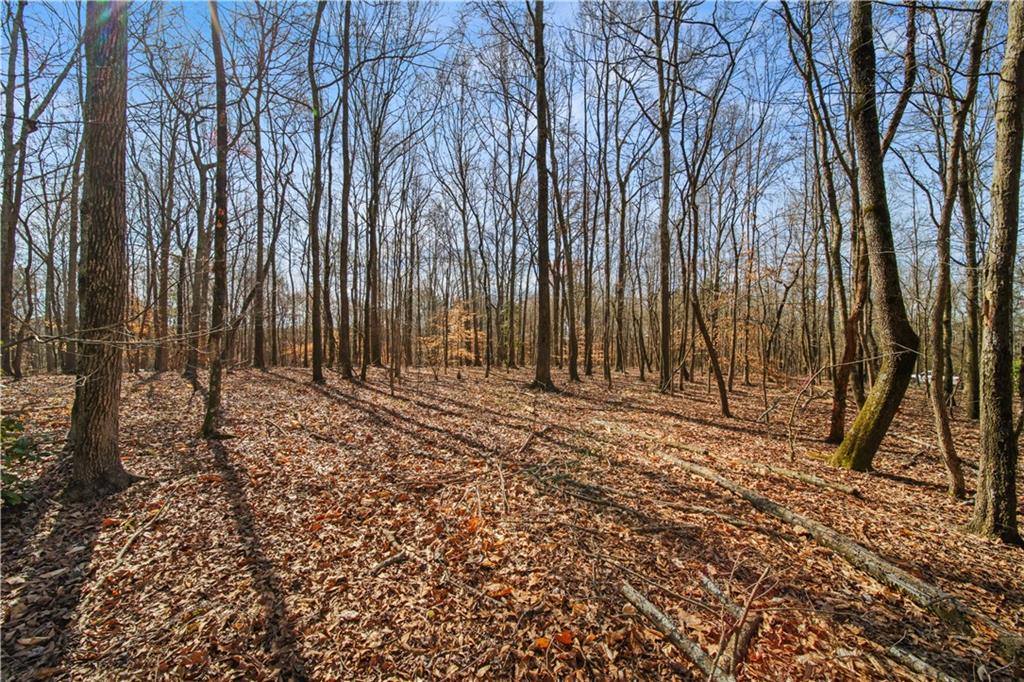 Lot 1 Kinney Creek Lane, Pendergrass, Georgia image 7