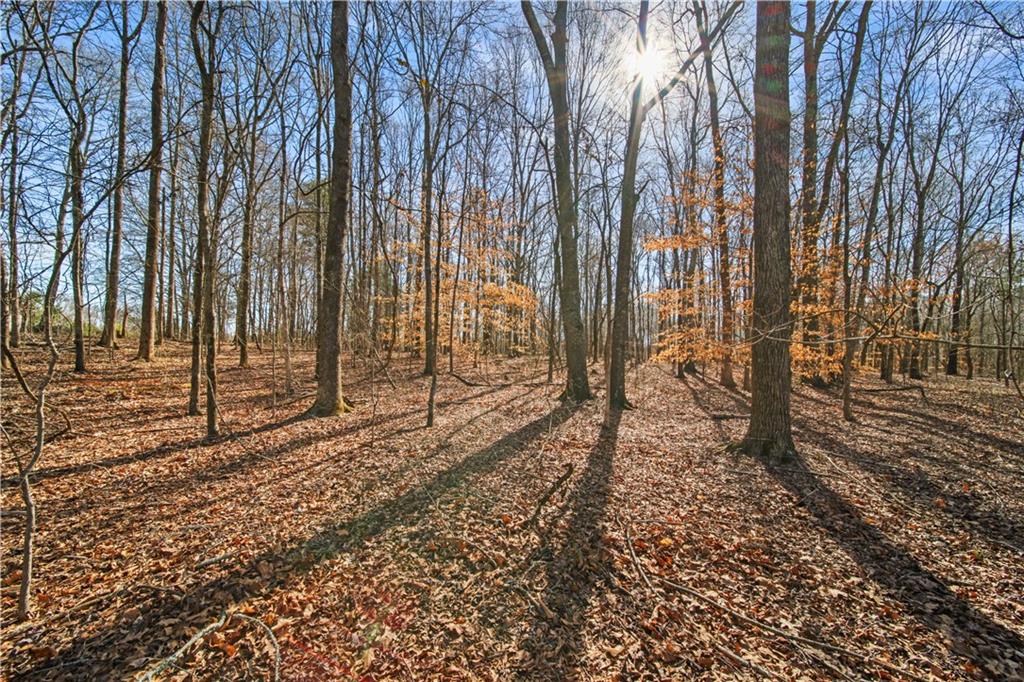 Lot 1 Kinney Creek Lane, Pendergrass, Georgia image 6