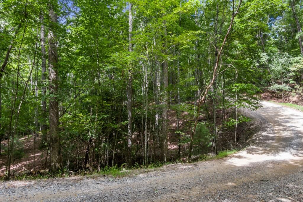 3.51AC Deer Springs Road, Morganton, Georgia image 9