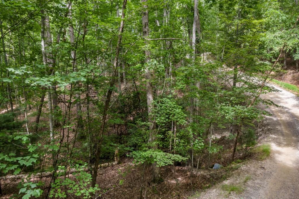 3.51AC Deer Springs Road, Morganton, Georgia image 14