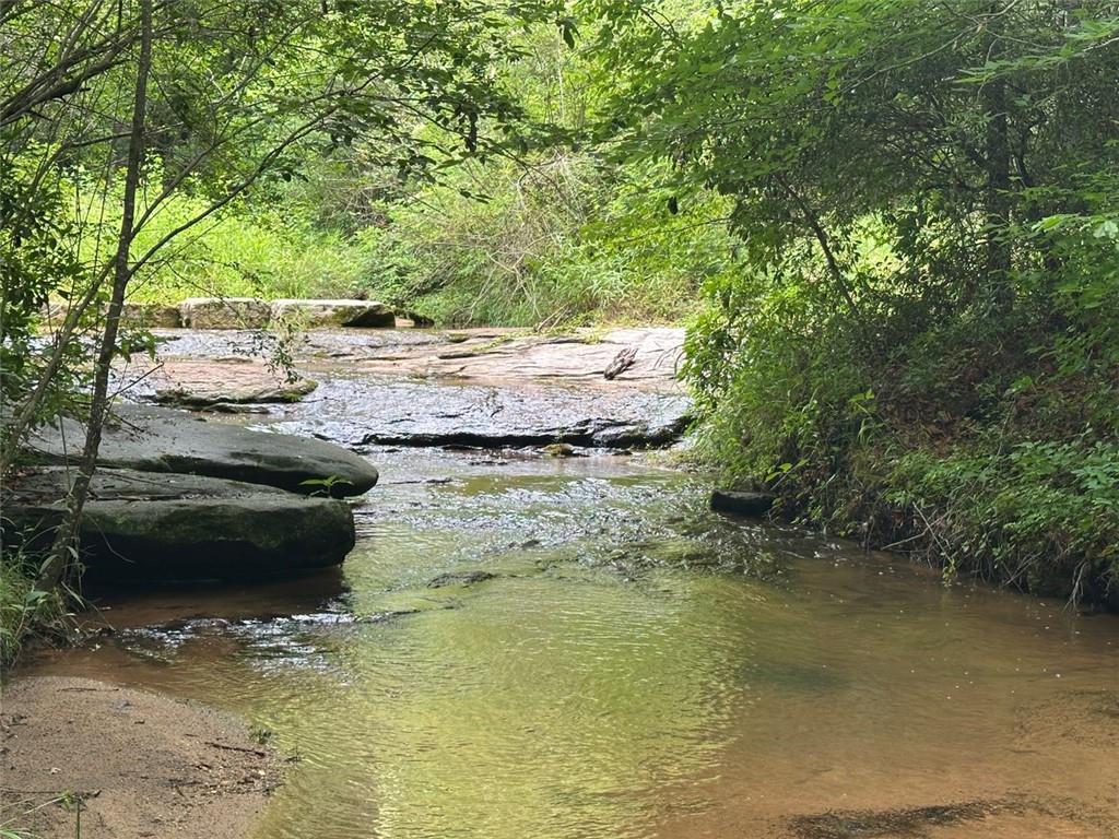 Quill Road, Bowman, Georgia image 15