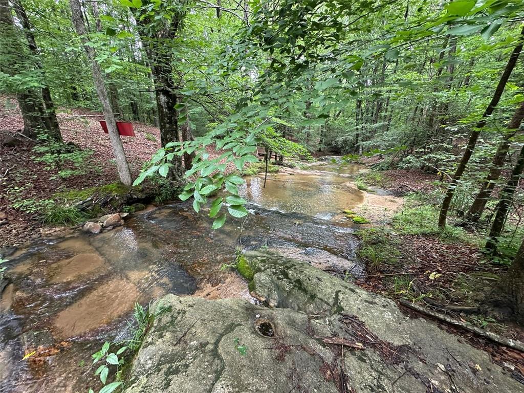 Quill Road, Bowman, Georgia image 16