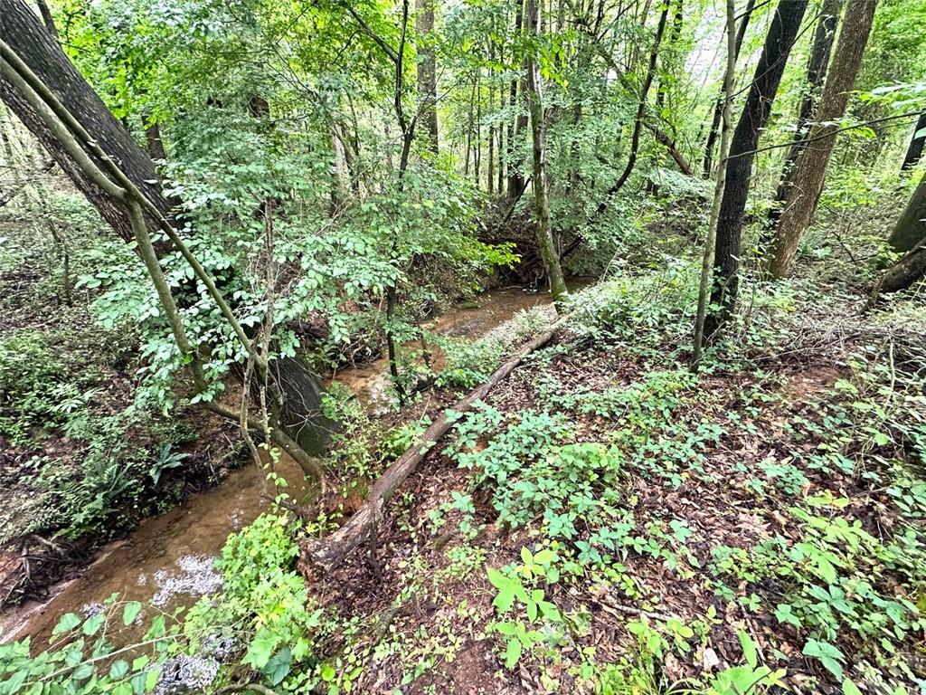 Quill Road, Bowman, Georgia image 12