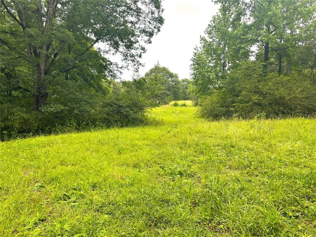Quill Road, Bowman, Georgia image 10